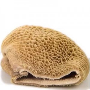 Bucho de Boi 1kg COD.0048