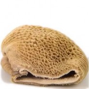 Bucho de Boi 1kg COD.0048