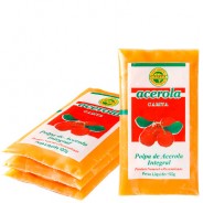 Polpa de Acerola Integral 4x100g Camta