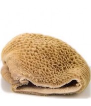 Bucho de Boi 1kg COD.0048