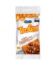 Salgadinho Sabor Churrasco 40g Trofeu