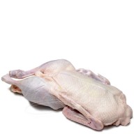 Pato Inteiro s/Miúdo COD.7140